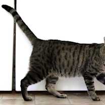 Thumbnail photo of Samuel #3