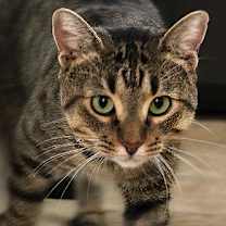 Thumbnail photo of Samuel #4