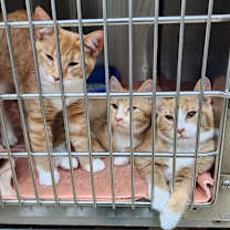 Thumbnail photo of Jermaine #3