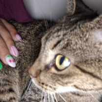 Thumbnail photo of Sweet & Sour #2