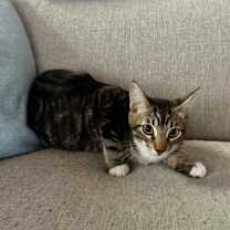 Thumbnail photo of Sunny3 #1