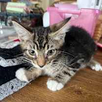 Thumbnail photo of Sunny3 #2