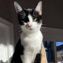 Thumbnail photo of Tam #1