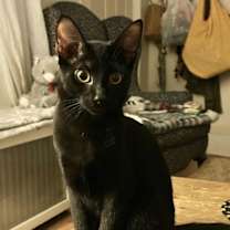 Thumbnail photo of Tina AND Dianna #1