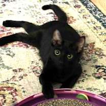 Thumbnail photo of Tina AND Dianna #2