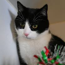 Thumbnail photo of Zoe #2