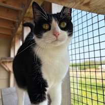 Thumbnail photo of Zoe #3