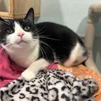 Thumbnail photo of Zoe #4