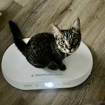 Thumbnail photo of Friday and Sunday #3