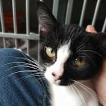 Thumbnail photo of Fallon #1