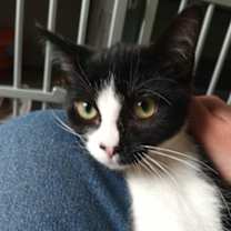 Thumbnail photo of Fallon #3