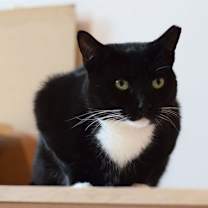 Thumbnail photo of Linda #1