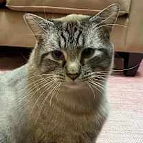 Thumbnail photo of Toby #1