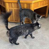 Thumbnail photo of Agnus and KK #1