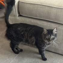 Thumbnail photo of Agnus and KK #2