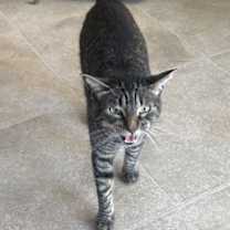 Thumbnail photo of Agnus and KK #3