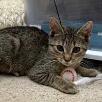 Thumbnail photo of Sandy #1