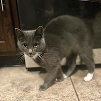 Thumbnail photo of Avery #4