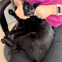 Thumbnail photo of Wednesday #2