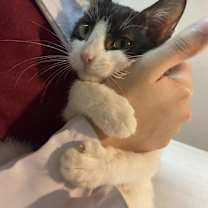 Thumbnail photo of Zizi #2