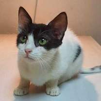 Thumbnail photo of Zizi #4