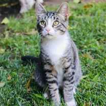 Thumbnail photo of Sneakers #2