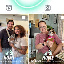 Thumbnail photo of Summer #4