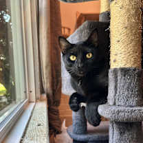 Thumbnail photo of Hacker #3