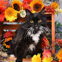 Thumbnail photo of Betty #1