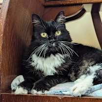 Thumbnail photo of Betty #2