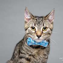 Thumbnail photo of Lil Reg #1