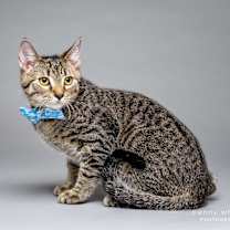 Thumbnail photo of Lil Reg #3