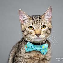 Thumbnail photo of Tips #1