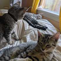 Thumbnail photo of Tips #4