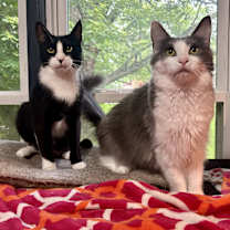 Thumbnail photo of Mary & Max #2