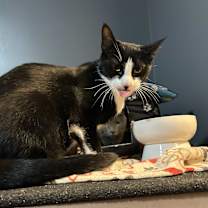 Thumbnail photo of Mary & Max #3