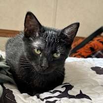 Thumbnail photo of Evie #2