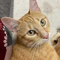 Thumbnail photo of Trinity #3