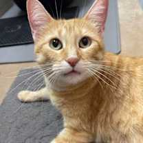 Thumbnail photo of Trinity #4