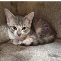 Thumbnail photo of Louise #1