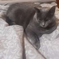 Thumbnail photo of Molly #1