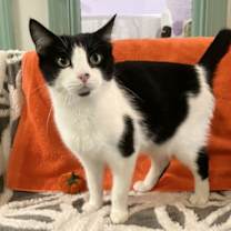 Thumbnail photo of Sophia Marie #4