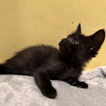 Thumbnail photo of Wednesday #2