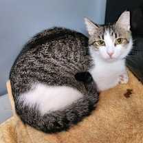 Thumbnail photo of Buddy #3