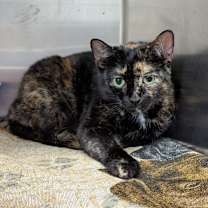 Thumbnail photo of Emily #1