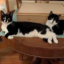 Thumbnail photo of Dayton #2