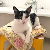 Thumbnail photo of PG13 #1