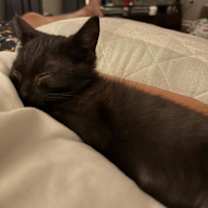 Thumbnail photo of Spooky kb bond w Crush Noggin #2