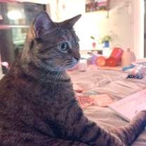 Thumbnail photo of Mrs. Buttersworth #2