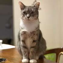 Thumbnail photo of Beyonce #1